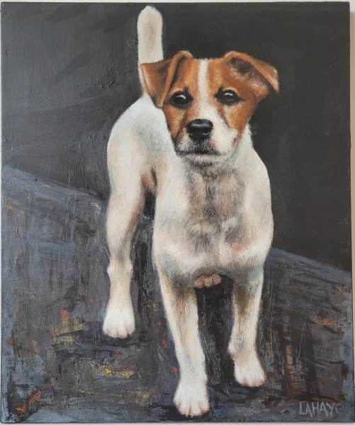 Fox-terrier blanc et roux debout, les oreilles dressées, sur un fond sombre aux reflets gris et ocre.